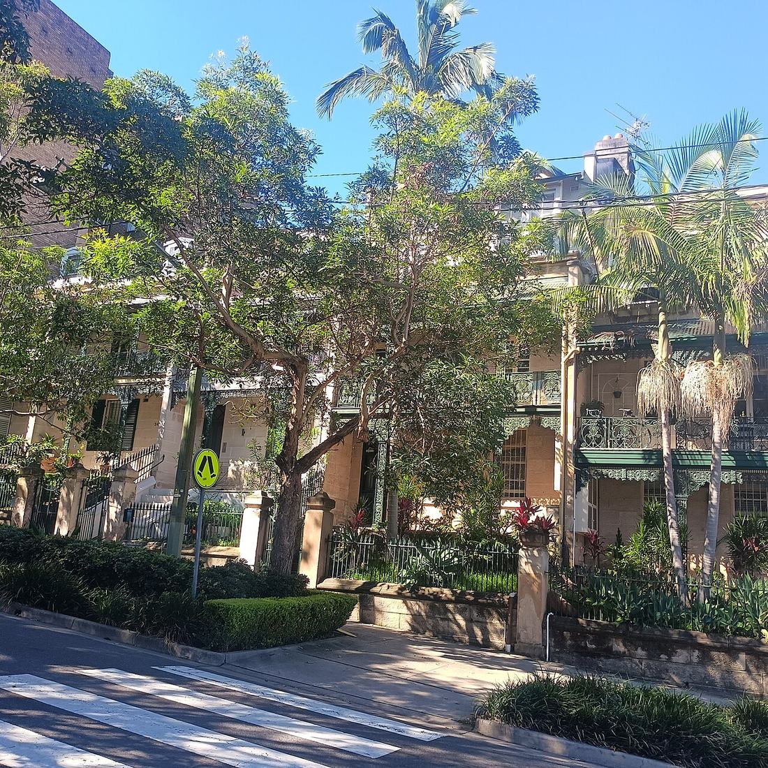 Terrace houses in Darlinghurst in Sydney